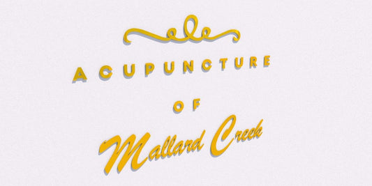 Custom Flat Cut Letters for "Acupuncture of Mallard Creek" | 1-Year Warranty