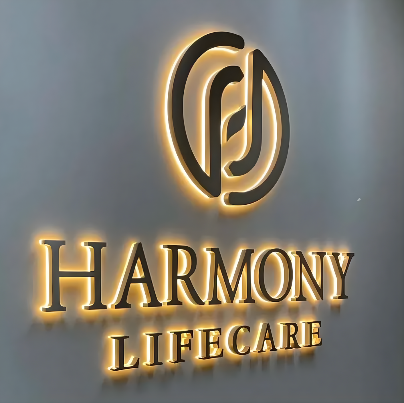 boutique storefront led halo letters polished stainless finish at night