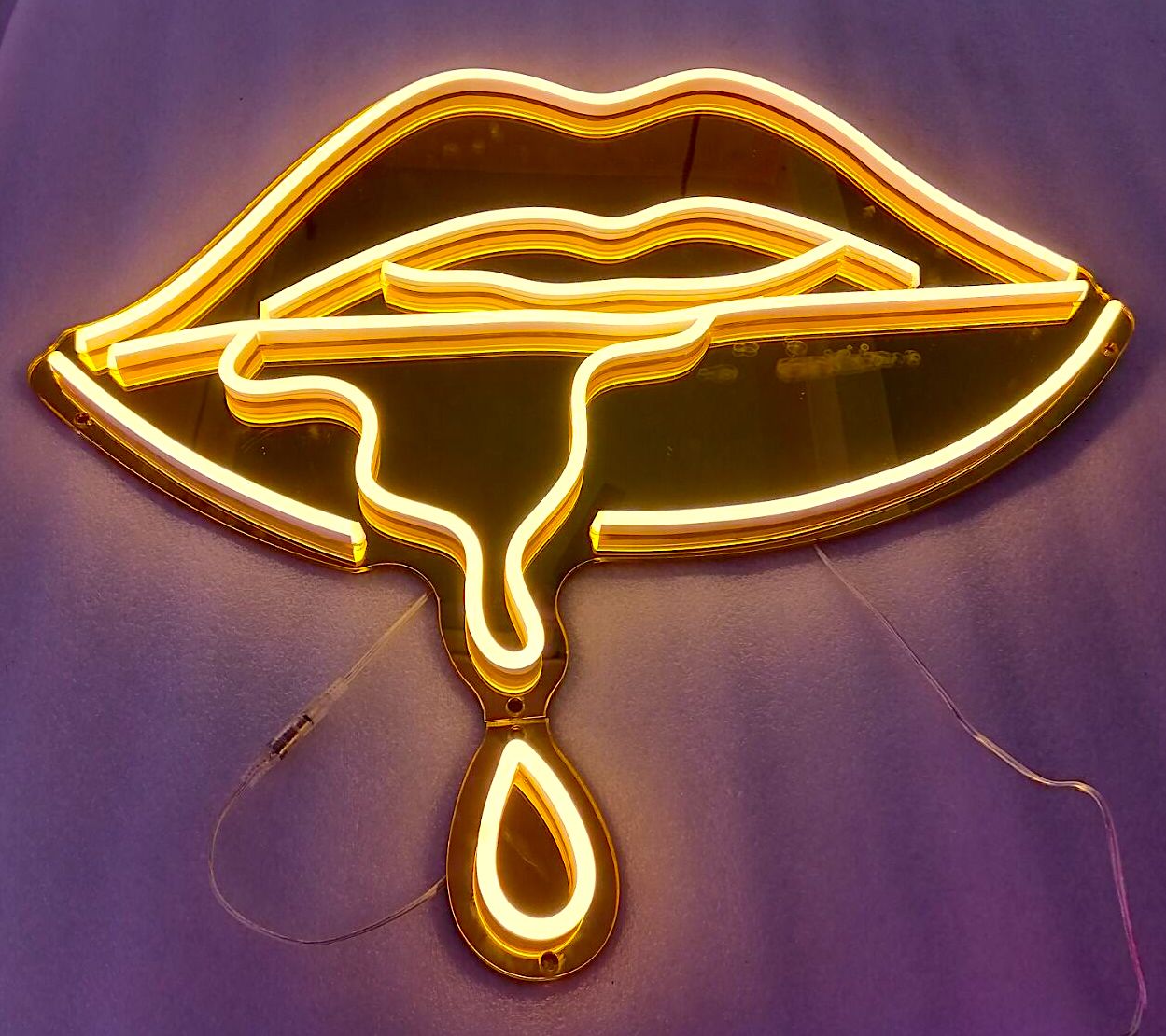 Illuminated LED Neon signage for business branding