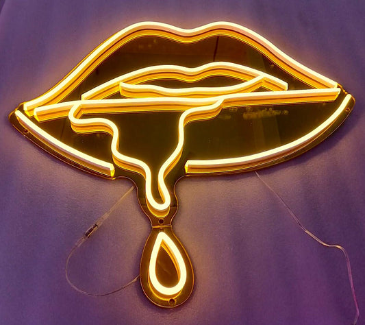 Illuminated LED Neon signage for business branding