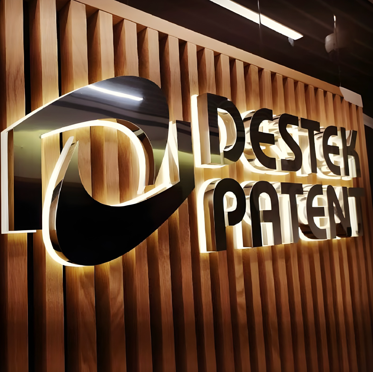 interior illuminated logo sign stainless halo letters on textured wall