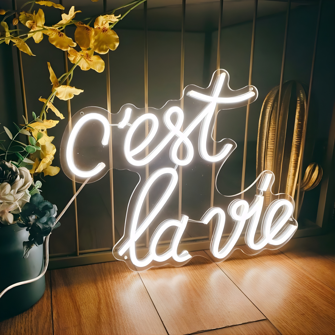 Custom LED neon sign for logos and text